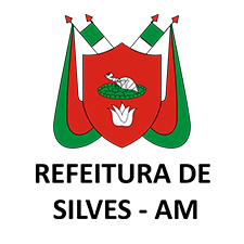 BRASAO_SILVES-AM.jpg